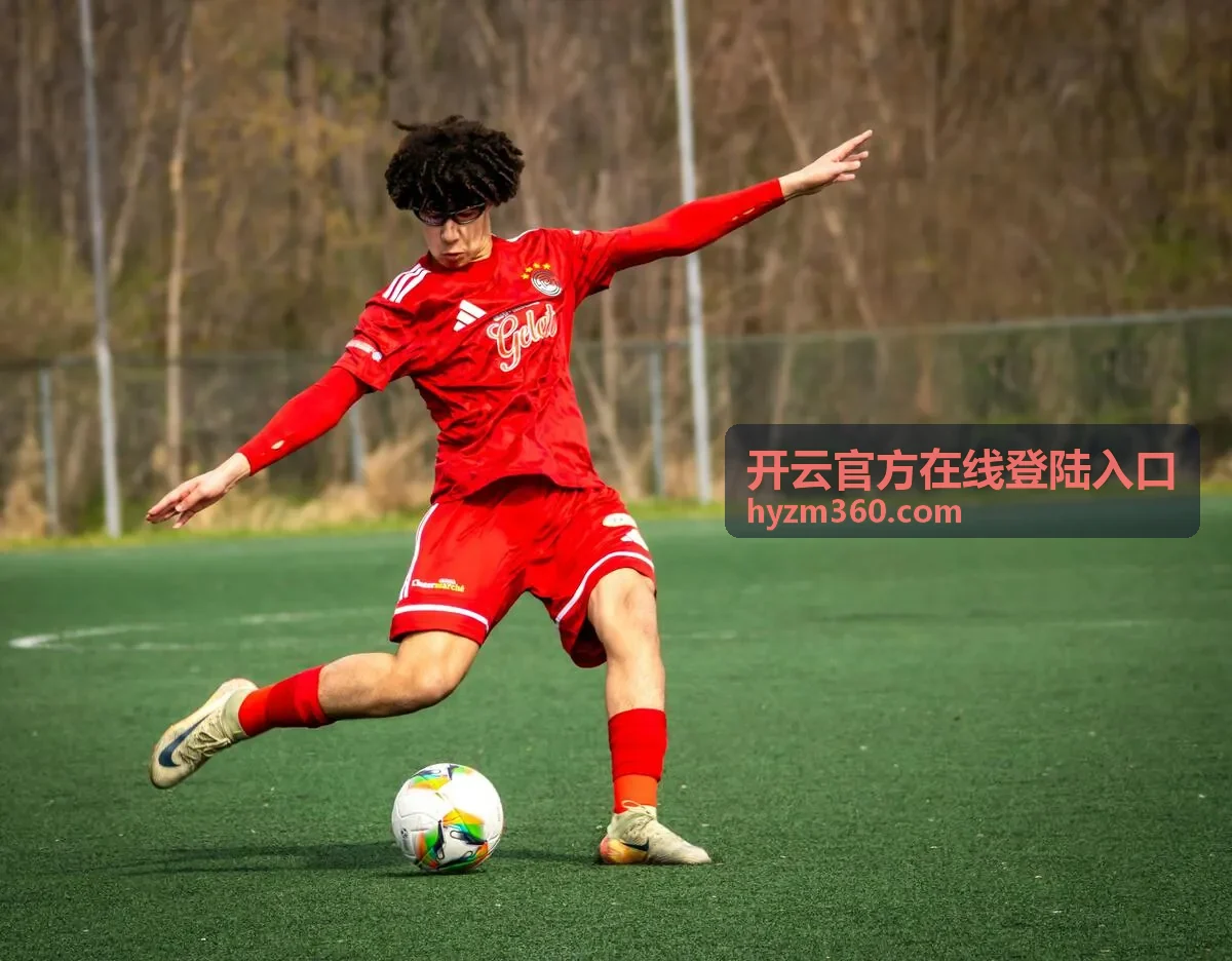 开云官方在线登陆入口渠道接入服务说明图