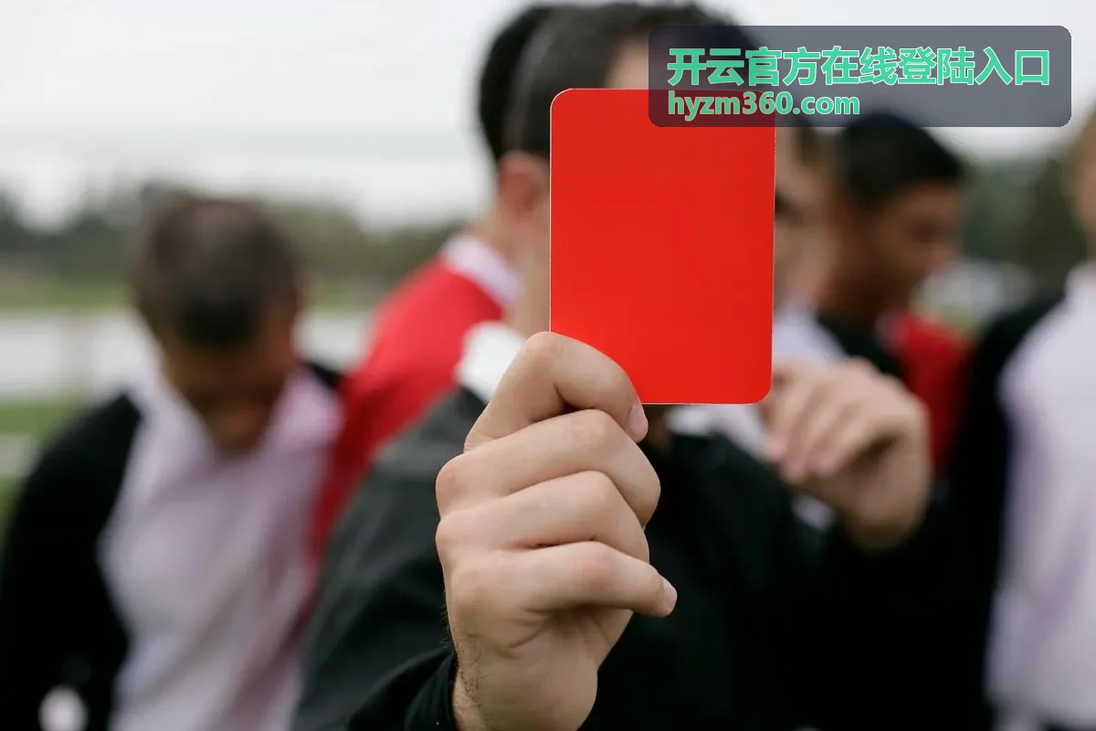开云官方在线登陆入口企业服务说明